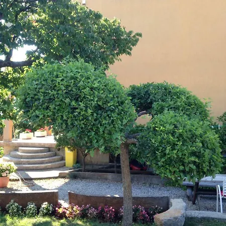 Spacious And Modern App With Big Terrace Apartmán Malinska